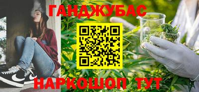 не бодяженный Гатчина