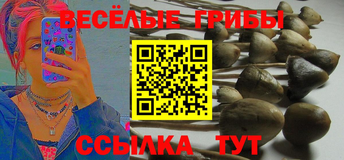 Галлюциногенные грибы Cubensis Когалым